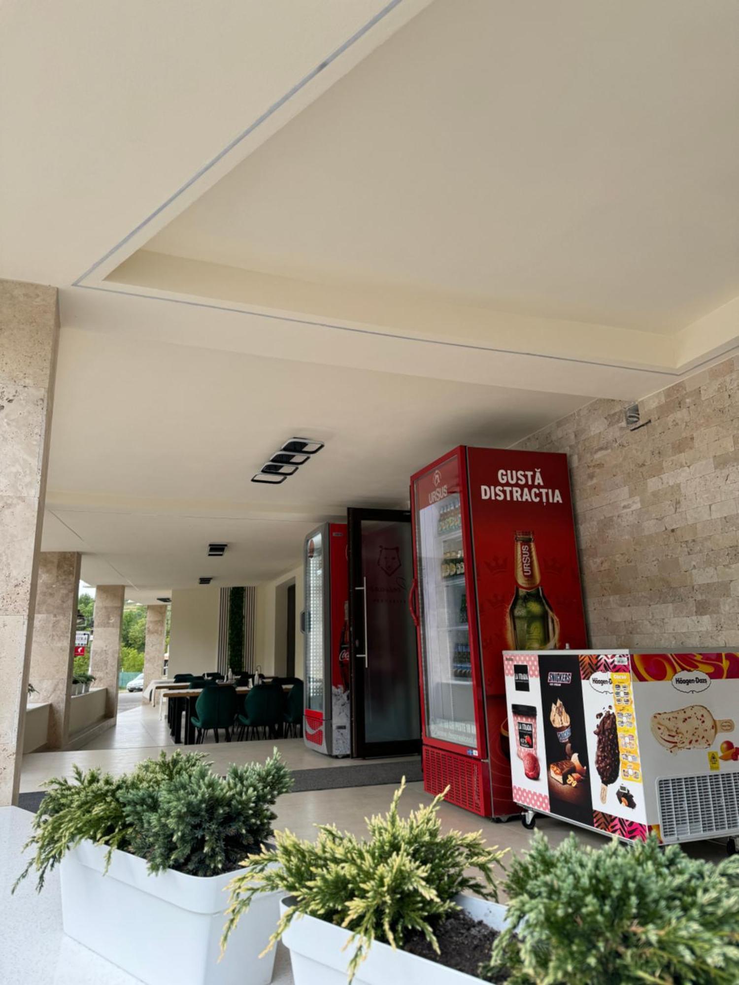 Conacul Pestera Ursilor Chiscau Exterior photo